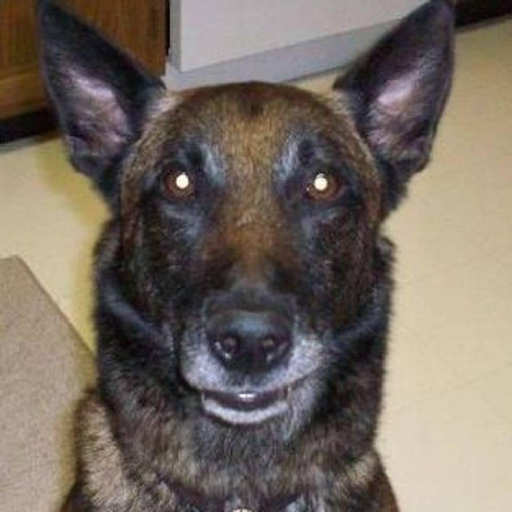 Meet your Posher, Nick